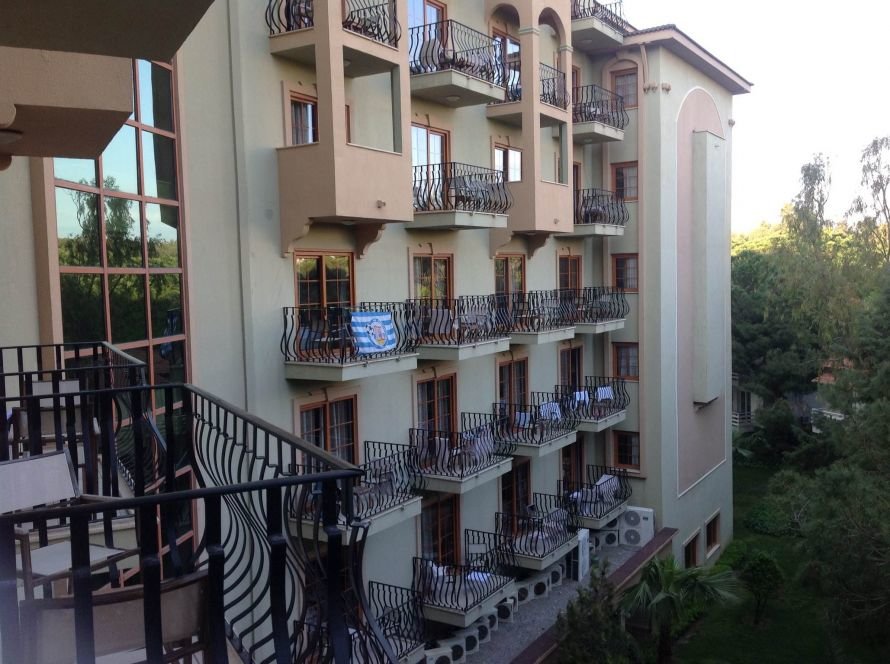 photo-1